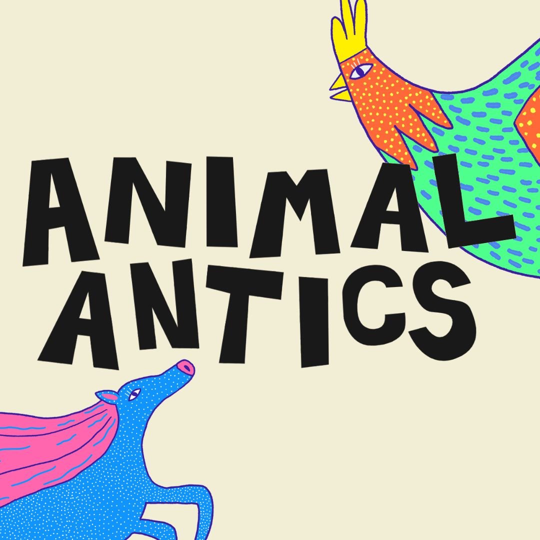 How To Play Animal Antics how-to-play-animal-antics